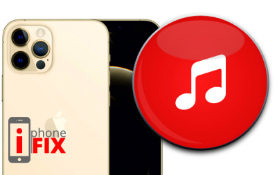 Επισκευή ηχείου μουσικής iPhone 12Pro